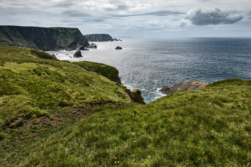 Shetland 357 copia
